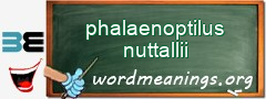 WordMeaning blackboard for phalaenoptilus nuttallii